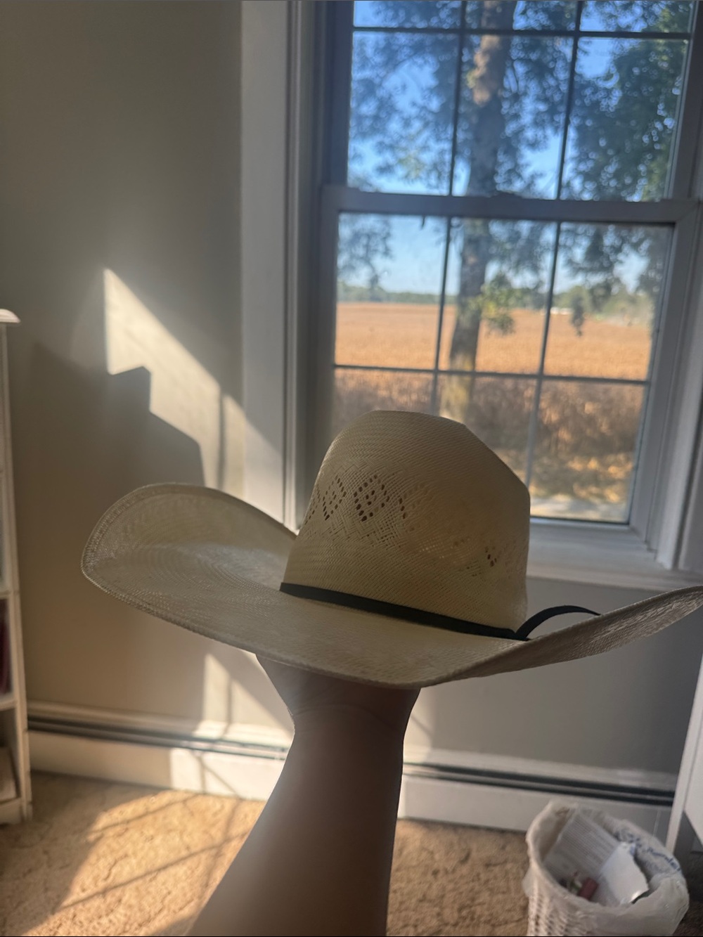 Rodeo king straw cowboy hat 7 1/8